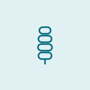 Spinal Rehab